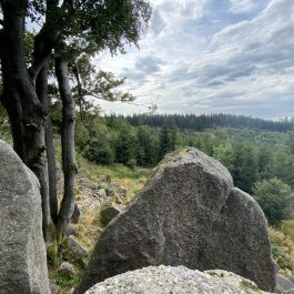 Ehrenmahl Glöckler Glöckner Rennsteig 3