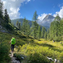 Fuchs-Strobel_Wandern in den Alpen_Berchtesgaden